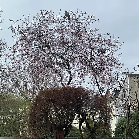 Apartament Am Teich Krefeld