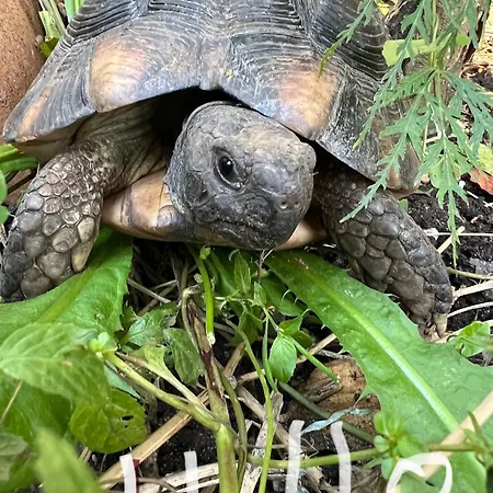 Apartament Am Teich *