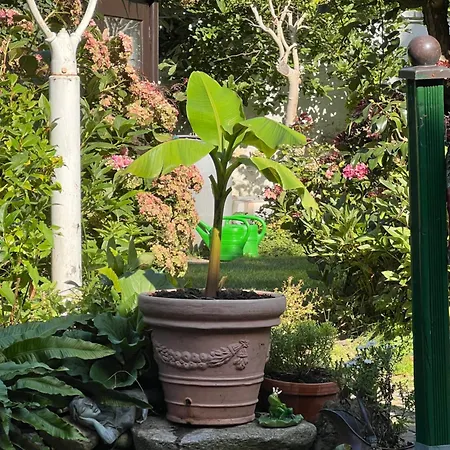 Am Teich * 크레펠트