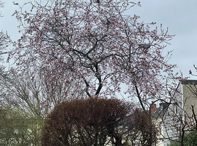 Lejlighed Am Teich Krefeld