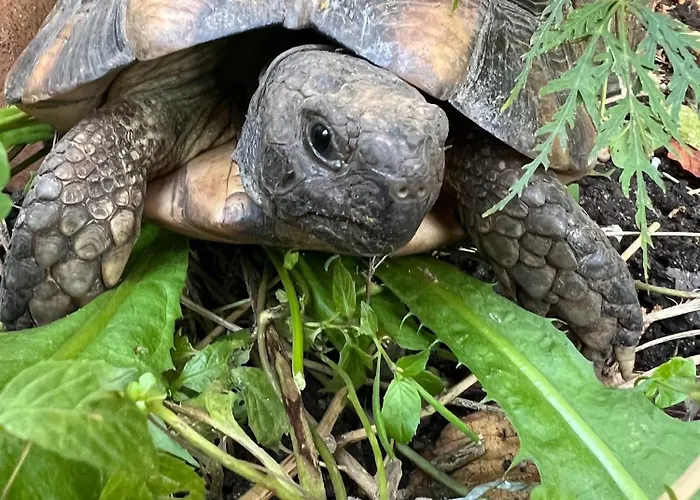 아파트 Am Teich *